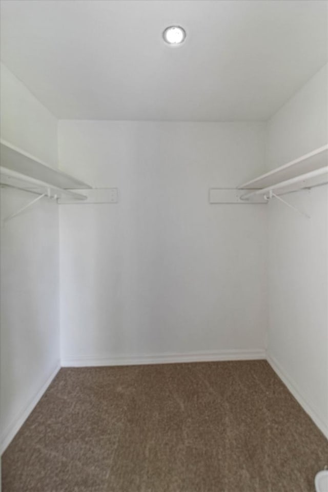 20347 Burnham Ave, Lynwood, IL 60411 - spacious closet with carpet flooring