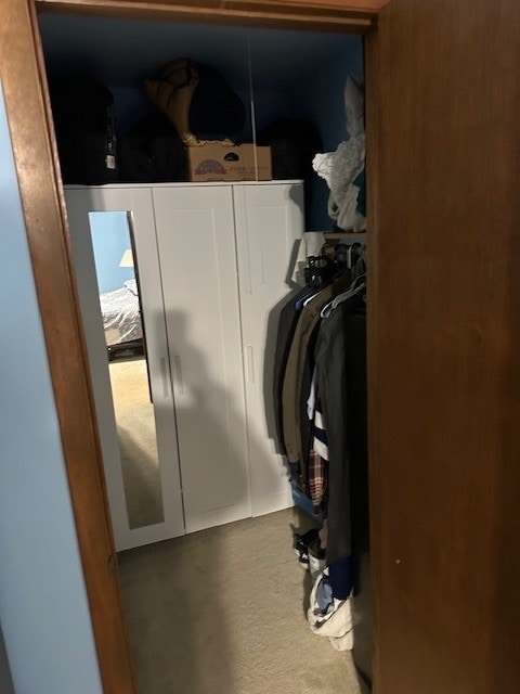 3806 Juniper Ave, Joliet, IL 60431 - view of closet