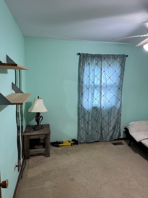 3806 Juniper Ave, Joliet, IL 60431 - view of carpeted bedroom