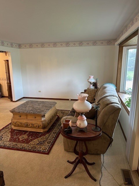 3806 Juniper Ave, Joliet, IL 60431 - living area featuring carpet flooring and baseboards