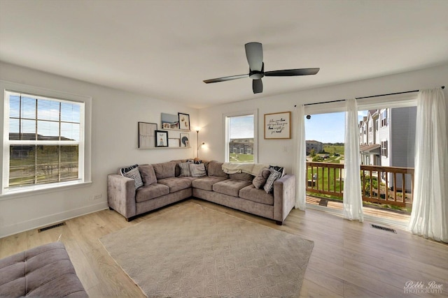 2451 Alison Ave, Pingree Grove, IL 60140 - living room with plenty of natural light, light wood-style floors, ceiling fan, and baseboards