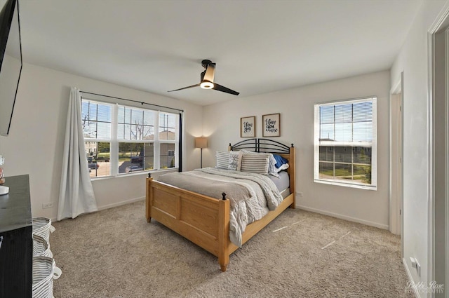 2451 Alison Ave, Pingree Grove, IL 60140 - bedroom with multiple windows, light carpet, and baseboards