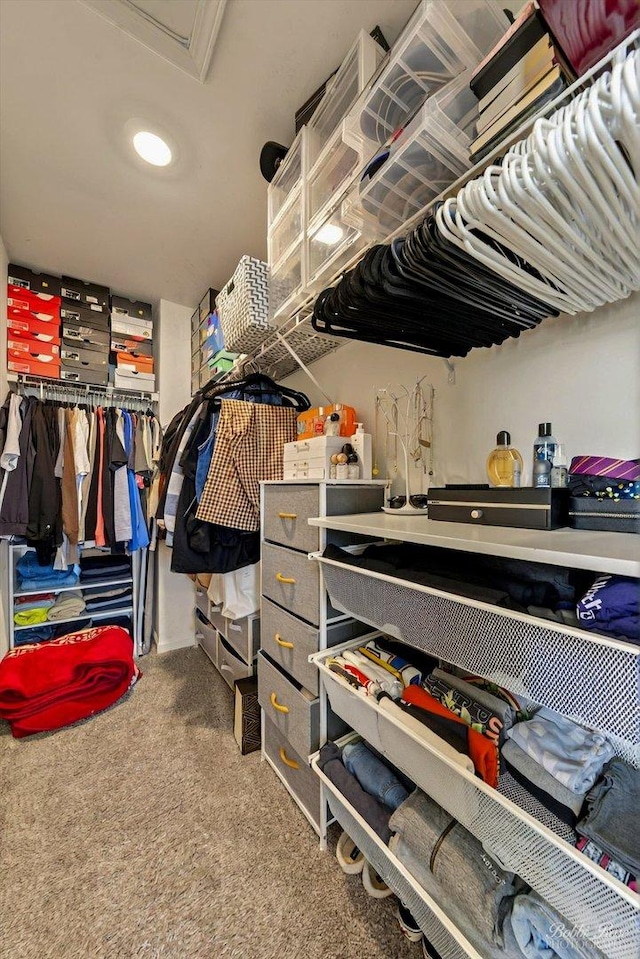 2451 Alison Ave, Pingree Grove, IL 60140 - spacious closet featuring carpet flooring