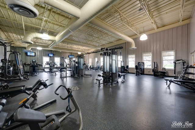 2451 Alison Ave, Pingree Grove, IL 60140 - workout area featuring a high ceiling