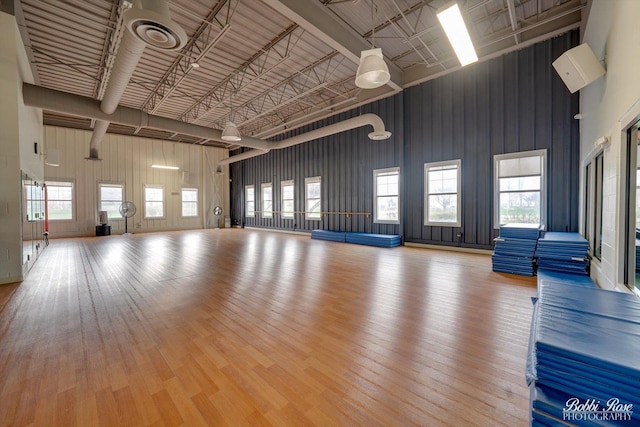 2451 Alison Ave, Pingree Grove, IL 60140 - misc room with a towering ceiling and wood finished floors