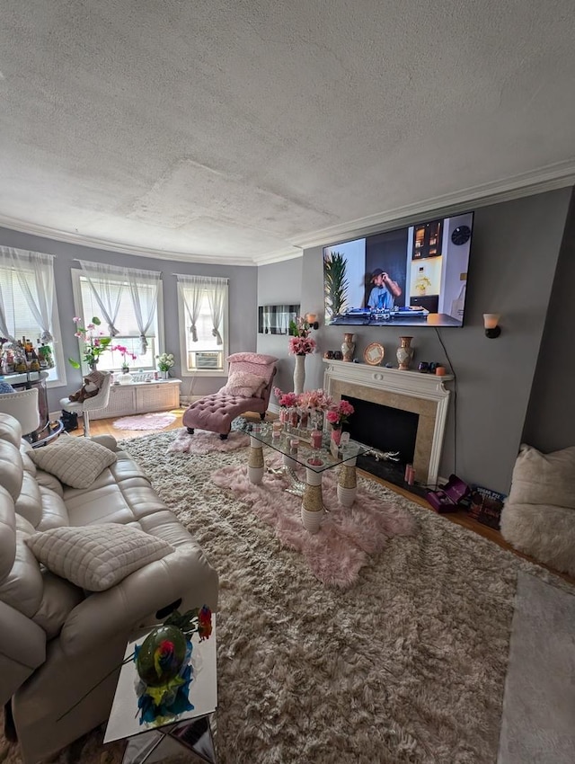 6850 S S Shore Dr Unit 2N, Chicago, IL 60649 - living room featuring ornamental molding, a textured ceiling, a premium fireplace, and wood finished floors