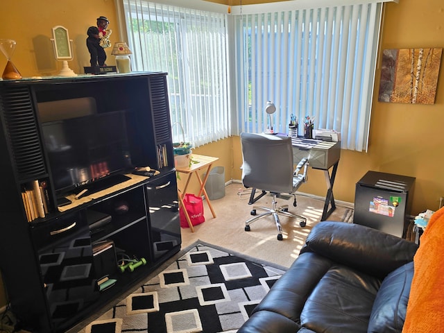 760 Mendocino Ct Unit 5, University Park, IL 60484 - office space featuring carpet and baseboards