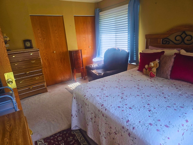 760 Mendocino Ct Unit 5, University Park, IL 60484 - bedroom featuring carpet flooring and multiple closets
