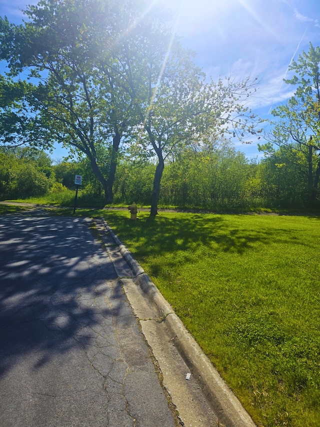 760 Mendocino Ct Unit 5, University Park, IL 60484 - view of road with curbs
