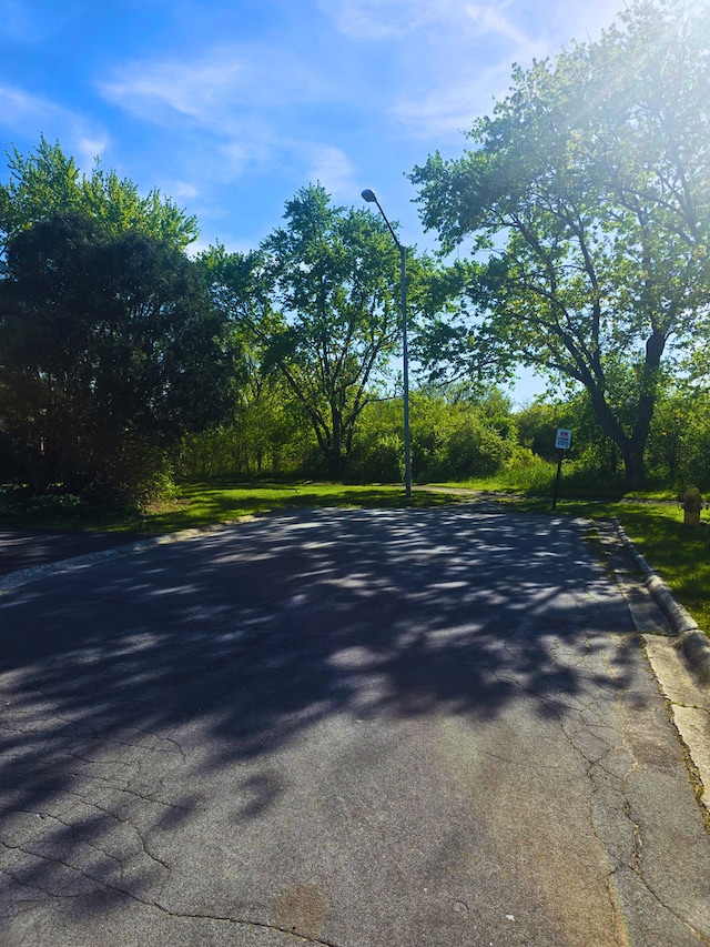 760 Mendocino Ct Unit 5, University Park, IL 60484 - view of road with street lighting and curbs