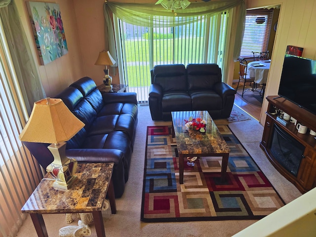 760 Mendocino Ct Unit 5, University Park, IL 60484 - living area with carpet floors
