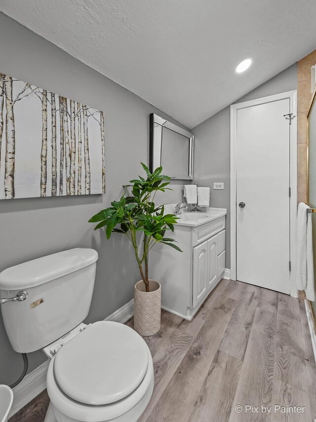 1140 Division St, Geneva, IL 60134 - bathroom with vaulted ceiling, wood finished floors, vanity, toilet, and baseboards