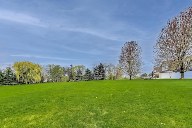 view of grassy yard