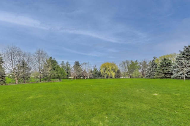 view of grassy yard