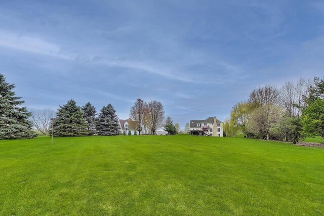 view of grassy yard