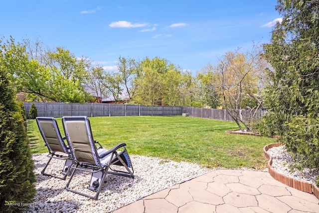 1770 Oxford Dr, Mundelein, IL 60060 - view of yard with a patio