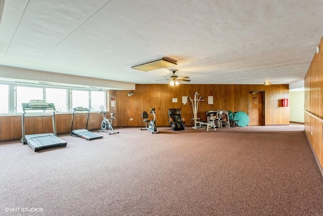 2900 Maple Ave Unit 13D, Downers Grove, IL 60515 - workout room with wooden walls, carpet floors, and a ceiling fan