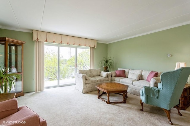 2900 Maple Ave Unit 13D, Downers Grove, IL 60515 - living area featuring carpet flooring and crown molding