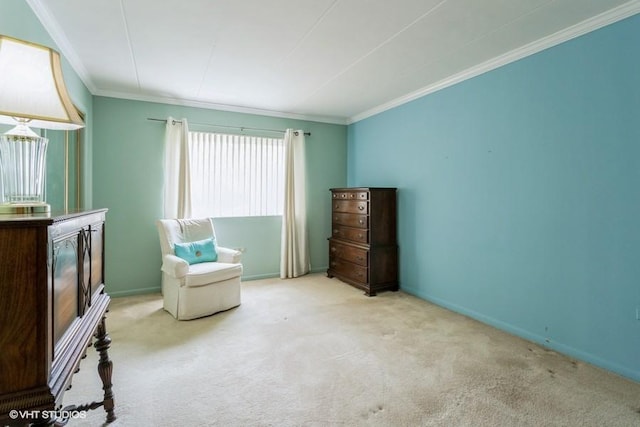 2900 Maple Ave Unit 13D, Downers Grove, IL 60515 - living area featuring ornamental molding, carpet, and baseboards