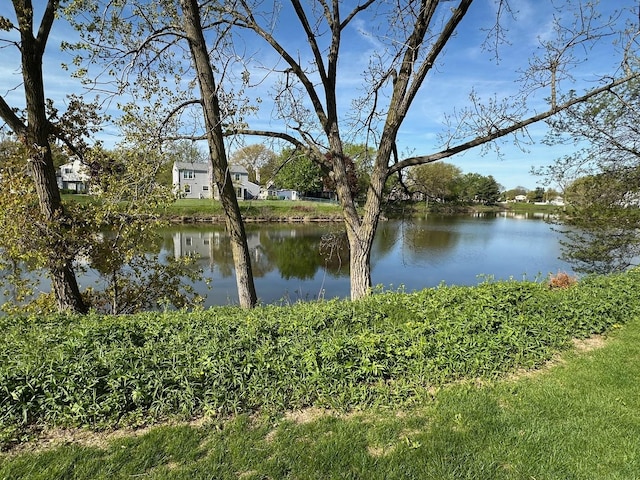 1118 Hampton Hbr Unit 1118, Schaumburg, IL 60193 - water view