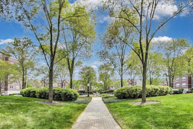 440 W Mahogany Ct Unit 209, Palatine, IL 60067 - view of property's community with a residential view and a lawn