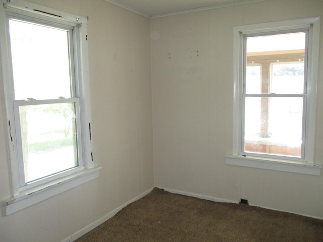 carpeted empty room with crown molding and plenty of natural light