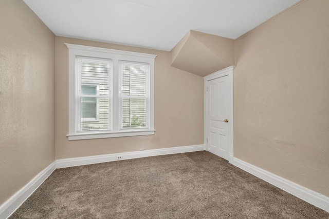 additional living space with carpet and baseboards