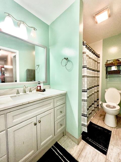 228 Janes Ave, Bolingbrook, IL 60440 - full bath with vanity, toilet, and a shower with curtain