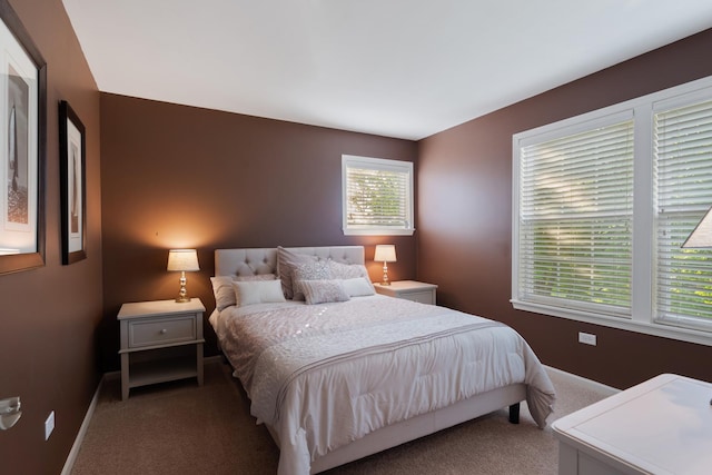 2904 Portage St, Naperville, IL 60564 - bedroom with carpet and baseboards