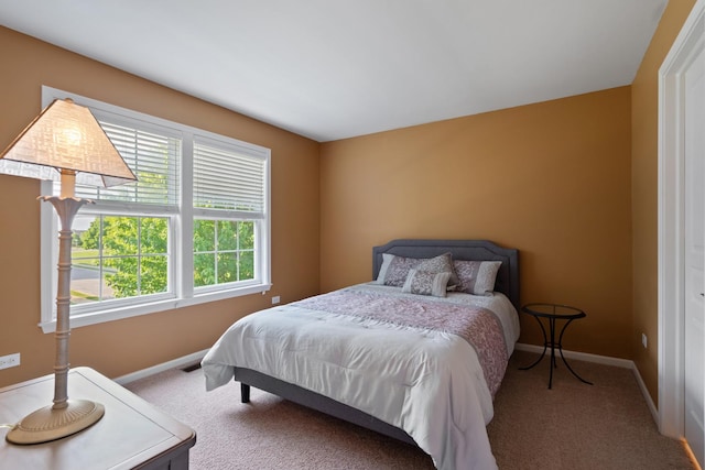 2904 Portage St, Naperville, IL 60564 - bedroom with carpet and baseboards