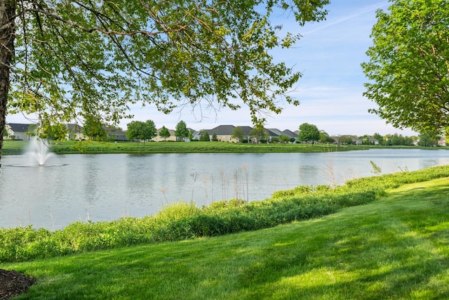2904 Portage St, Naperville, IL 60564 - water view