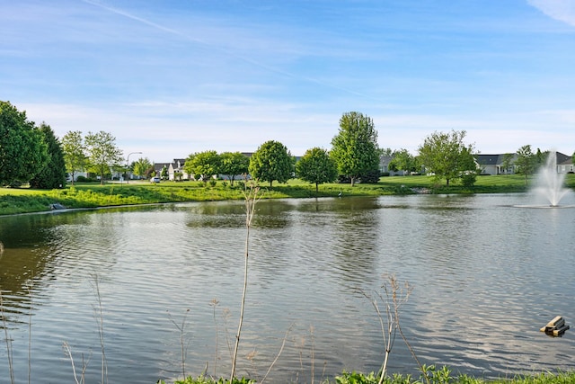 2904 Portage St, Naperville, IL 60564 - water view