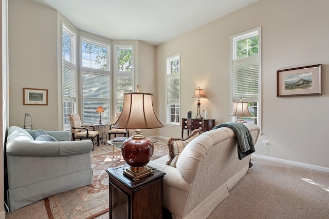 2904 Portage St, Naperville, IL 60564 - carpeted living room with baseboards