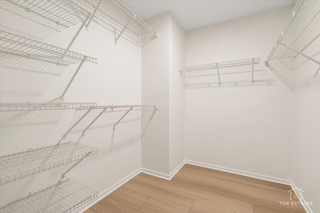 walk in closet with wood finished floors