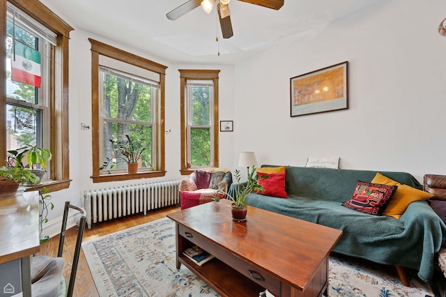 3310 S Lowe St, Chicago, IL 60616 - living area featuring radiator, healthy amount of natural light, ceiling fan, and wood finished floors
