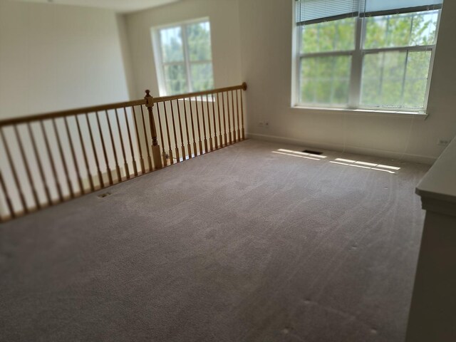 3049 Marion St, Elgin, IL 60124 - photo 19