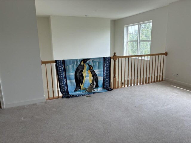 3049 Marion St, Elgin, IL 60124 - photo 22