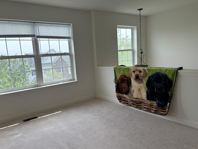 3049 Marion St, Elgin, IL 60124 - photo 23