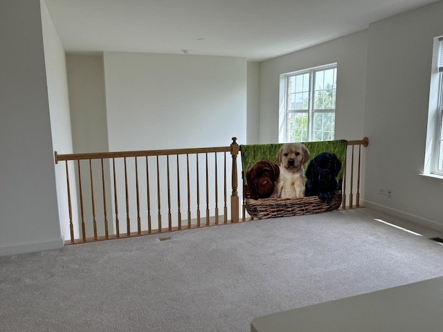3049 Marion St, Elgin, IL 60124 - photo 24