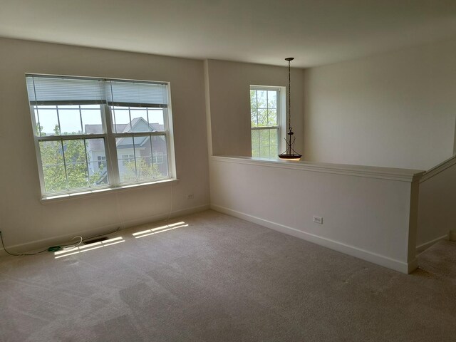 3049 Marion St, Elgin, IL 60124 - photo 25