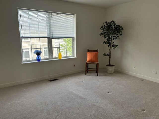 3049 Marion St, Elgin, IL 60124 - photo 26