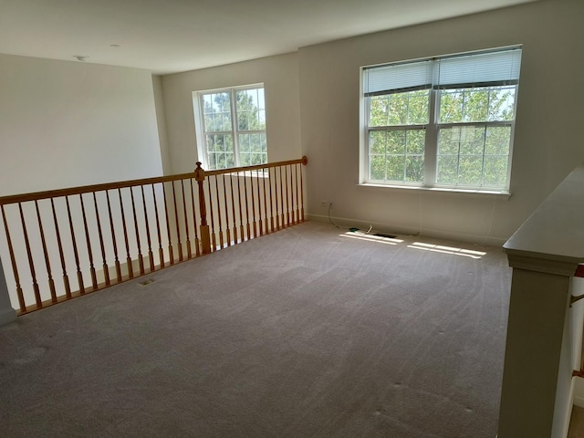 3049 Marion St, Elgin, IL 60124 - photo 27