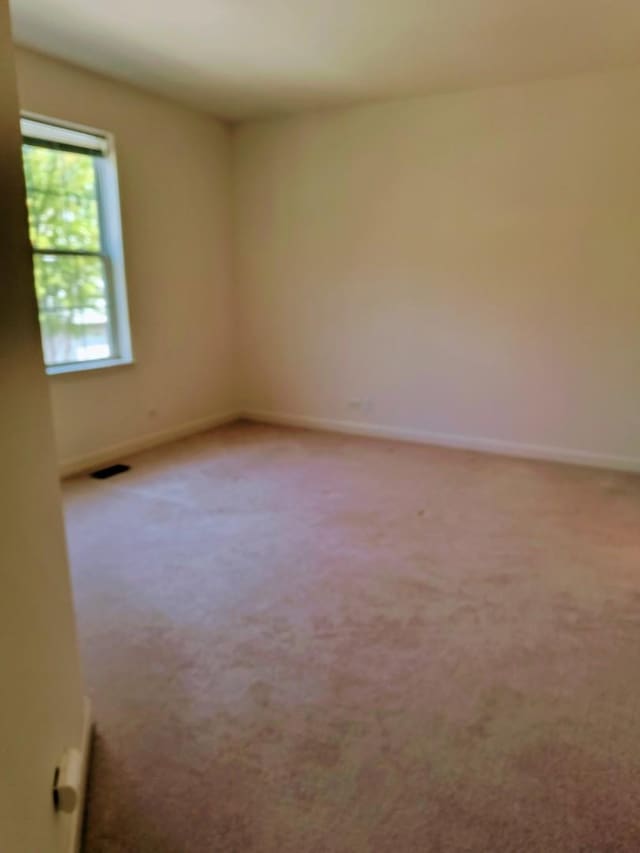 3049 Marion St, Elgin, IL 60124 - photo 29