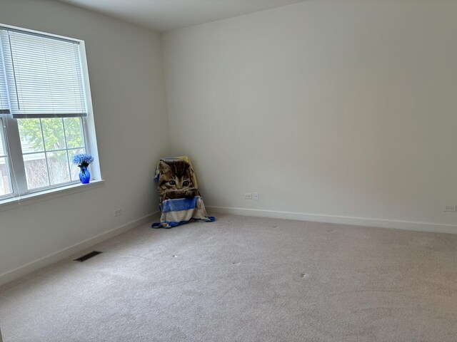 3049 Marion St, Elgin, IL 60124 - photo 34