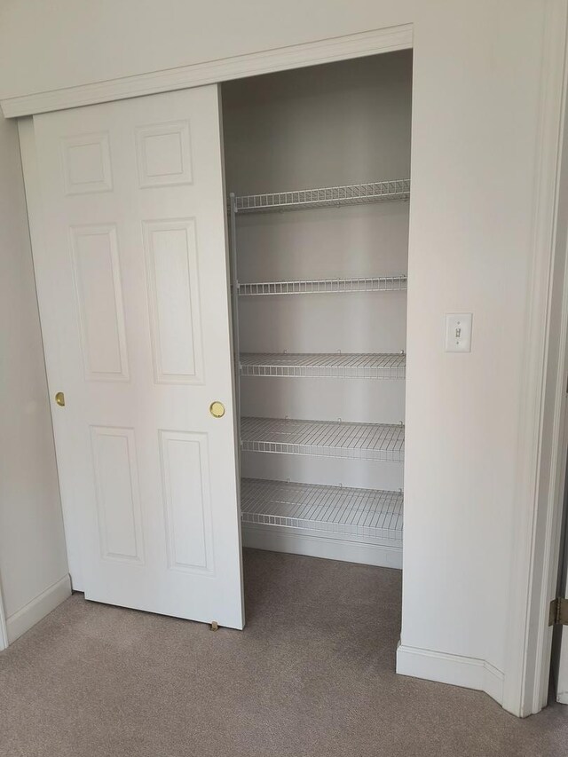 3049 Marion St, Elgin, IL 60124 - photo 43