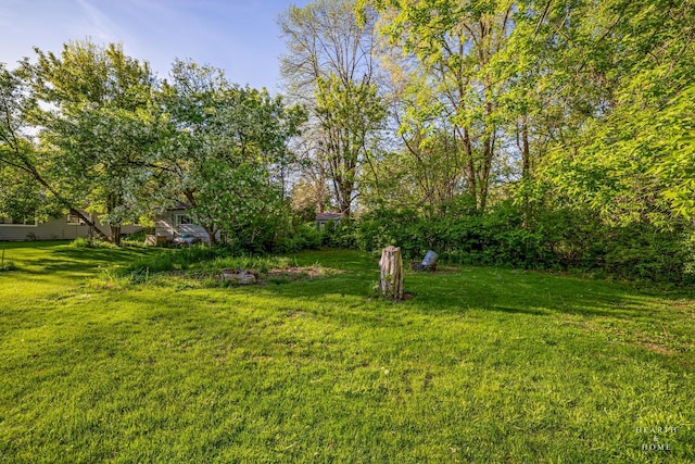 view of green lawn