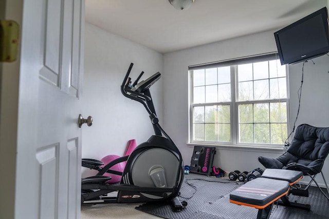 exercise room with healthy amount of natural light, baseboards, and carpet flooring
