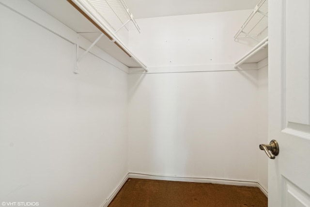708 Newgate Ln Unit A, Prospect Heights, IL 60070 - walk in closet with carpet