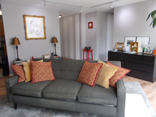 5455 N Sheridan Rd Unit 408, Chicago, IL 60640 - living room featuring track lighting and light wood-style floors