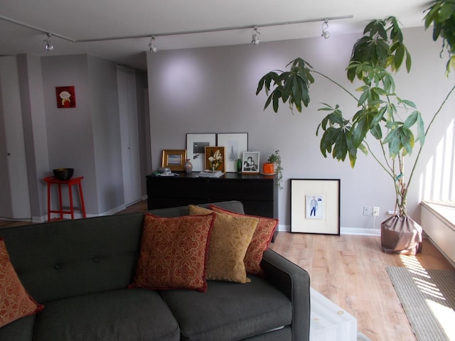 5455 N Sheridan Rd Unit 408, Chicago, IL 60640 - living area featuring rail lighting, wood finished floors, and baseboards